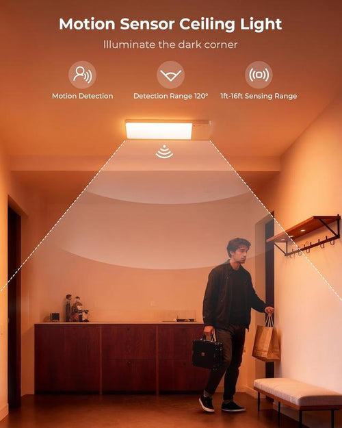 Wireless Motion Sensor Ceiling Light