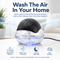 Air Washer & Aroma Diffuser: Wash, Don't Mask